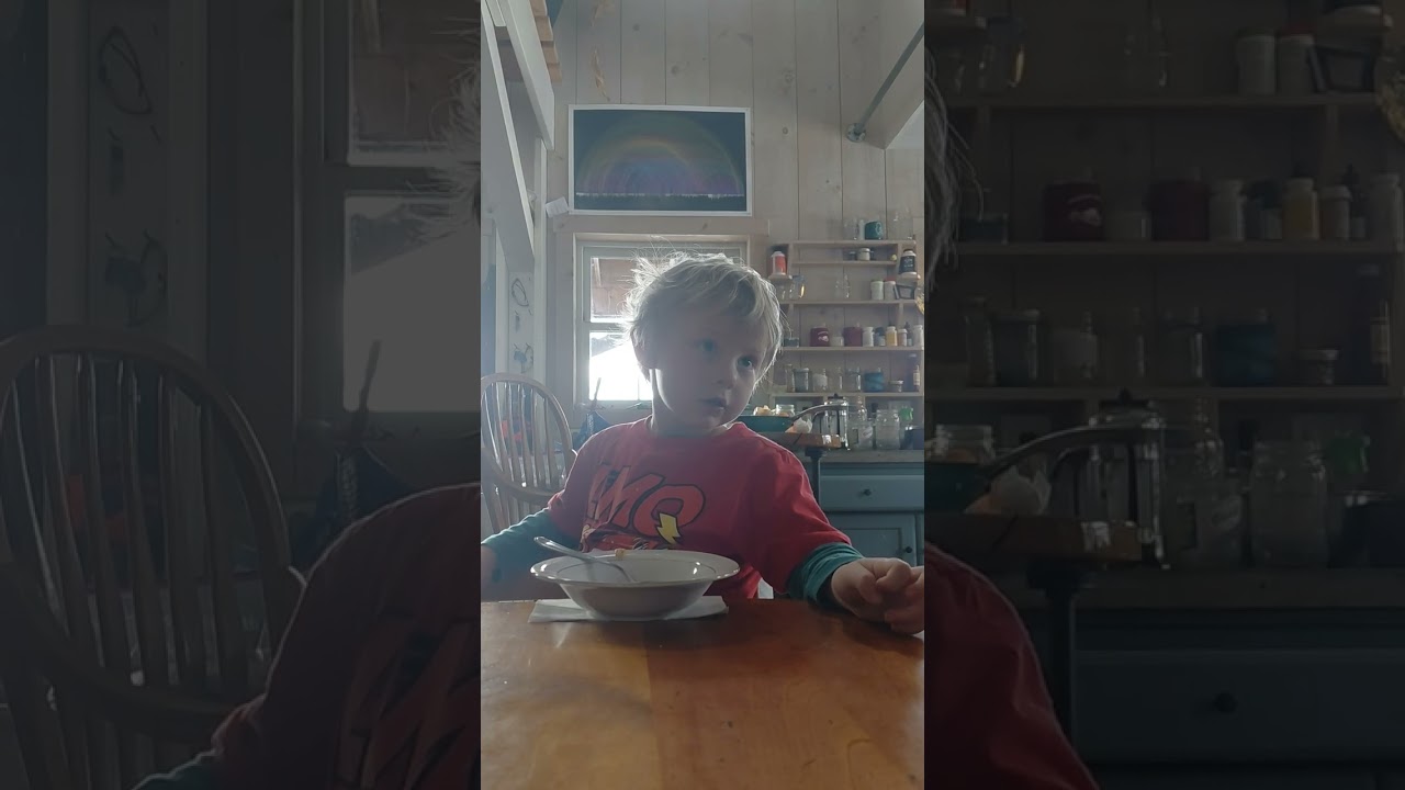 Мечта Тая: медведи, динозавры и аллигаторы.