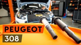 Naprawa PEUGEOT 308 samemu - video przewodnik samochodowy