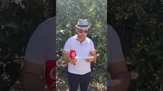 Tüm Çiftçilerimize Gönülden Selam Olsuntoprağı Alın Teriyle Yoğuran Emek Ile Soframıza Bereket Gtrn