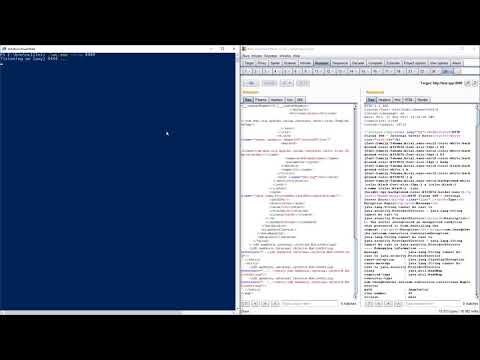 S2-052 (CVE-2017-9805) showcase