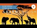 Deep English - Elephant Whisperer (slow speed)