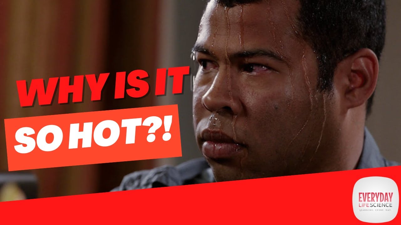 Why Is It So Hot After It Rains? 🤔 YouTube