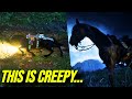 The Creepiest Glitch in Red Dead Online… (Ghost Horses)