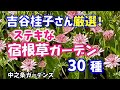 【ガーデニング】6月に咲く吉谷桂子さん厳選のステキな宿根草ガーデンから30種の紹介！中之条ガーデンズ！園芸のプロから学ぶ！【群馬県中之条町】Gardening