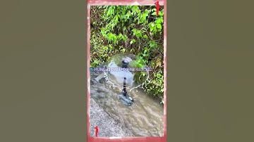 test bơm chìm kèm bộ đài phun nước tiểu cảnh sân vườn #tieucanh #sanvuon #nuoica