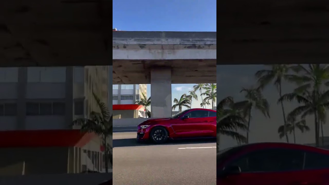 It's a Shelby GT350 Kinda day ☀🐍 