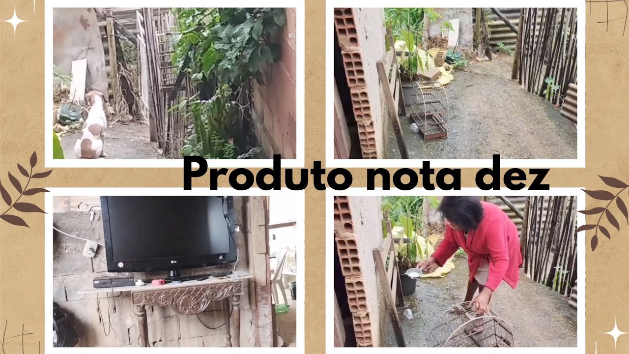 Relembrando a minha trajetória.