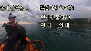 7/17 삼척 작은후진항!! 카약피싱👍👍 플랫 광어가 쏟아집니다~~
