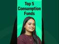 Top 5 Consumption Mutual Funds for 2025 📈