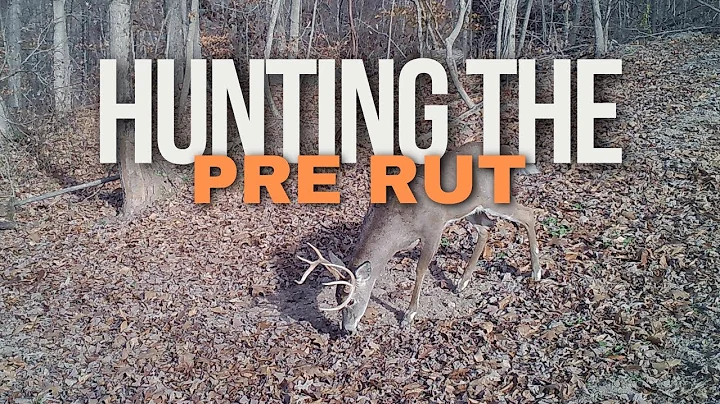How To Hunt The Pre Rut