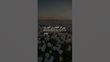 قل أعوذ برب الفلق من شر ما خلق ومن شر غاسق إذا وقب ومن شر النفثت فى العقد سورة الفلق ماهر المعقلي