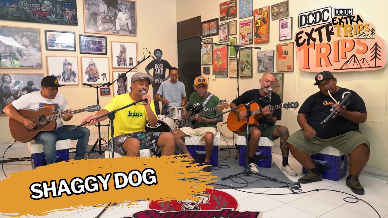 DCDC EXTRATRIPS: SHAGGY DOG