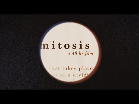 mitosis (a calarts 48hr film)