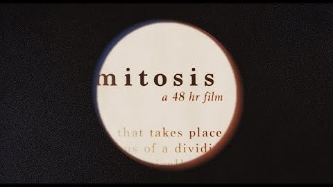 mitosis (a calarts 48hr film)