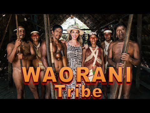 Hunters of the Amazon Jungle: The Waorani Tribe