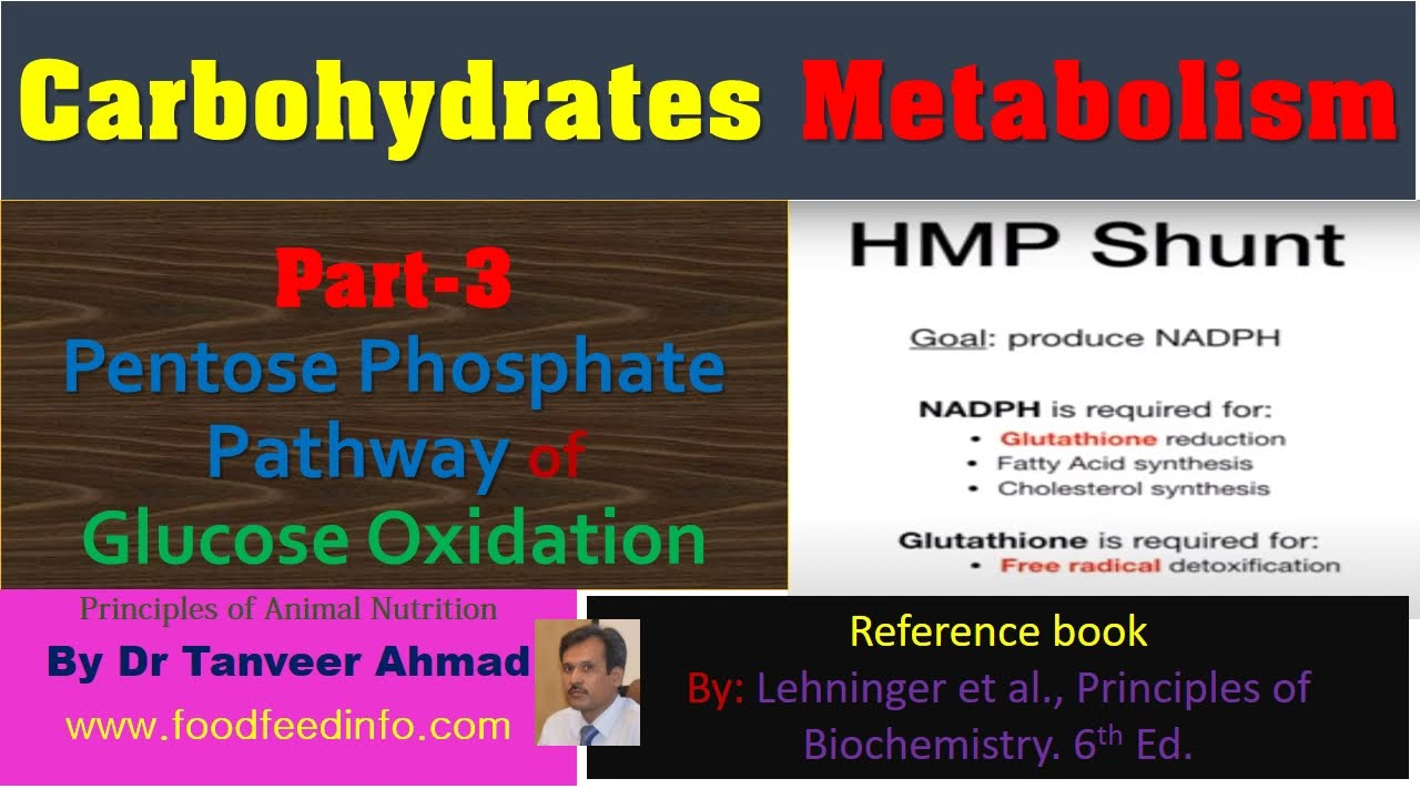 is glutathione soap safe for pregnancy Is Glutathione Safe During Pregnancy & Nursing? Understanding Risks and  Benefits