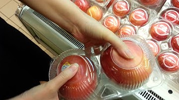 2-count apple packaging container plastic box clamshell (www.memorypack.com.tw)