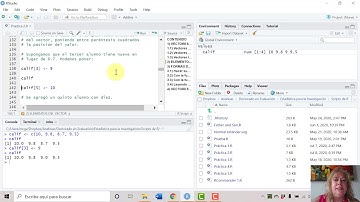 Práctica 2 Elementos de vectores en R
