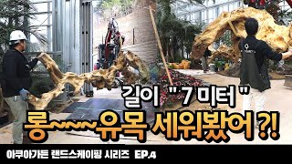 [EP_4]진짜 길다~7미터ㅣ롱~~~유목 세워질까?#아쿠아가든#아쿠아카페#aquagarden#aquascape#aqua#landscaping#가평베고니아새정원#aquarium