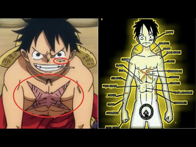 One Piece Monkey D. Luffy Chest Scar