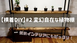 【横着DIY】＃2 ホームセンターで揃うものだけでアレンジ自在な植物棚を作る！！〜イレクターパイプのおかげで棚の大きさも段の数も変幻自在〜