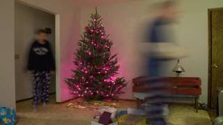 20091211 - Christmas Tree Time-lapse