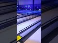 Birthday Bowling Adventure for Your Family #foryoupage