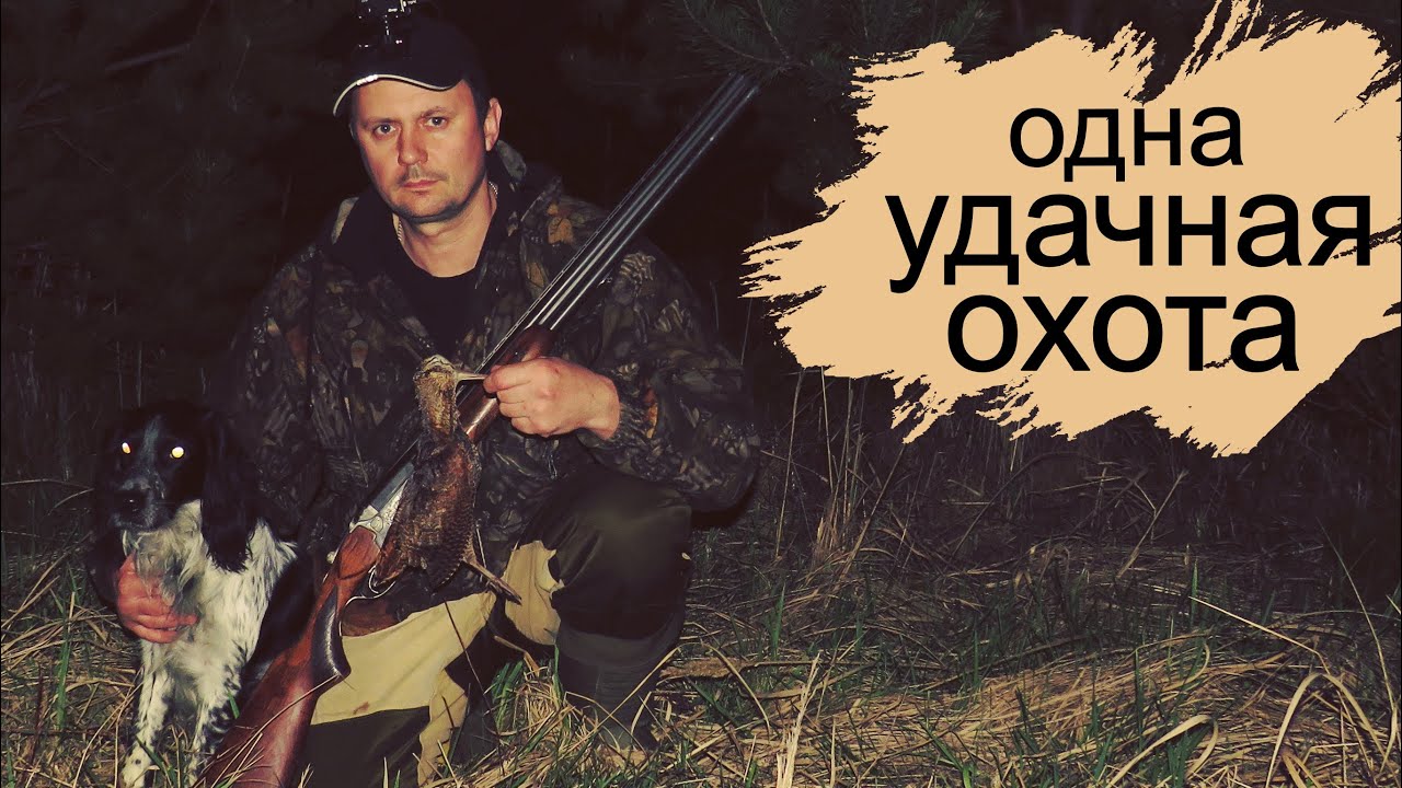 ОХОТА на ВАЛЬДШНЕПА со СПАНИЕЛЕМ. - YouTube