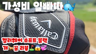 화제의 켈러웨이 쏘프트블랙 가성비장갑 개🐕꿀리뷰😱#골프#골프존#스크린골프#NX#골프존cc#필드#필드골프#필드레슨#웨지#퍼터#아이언비거리#골프레슨#숏게임#숏아이언#드라이버#골프장갑