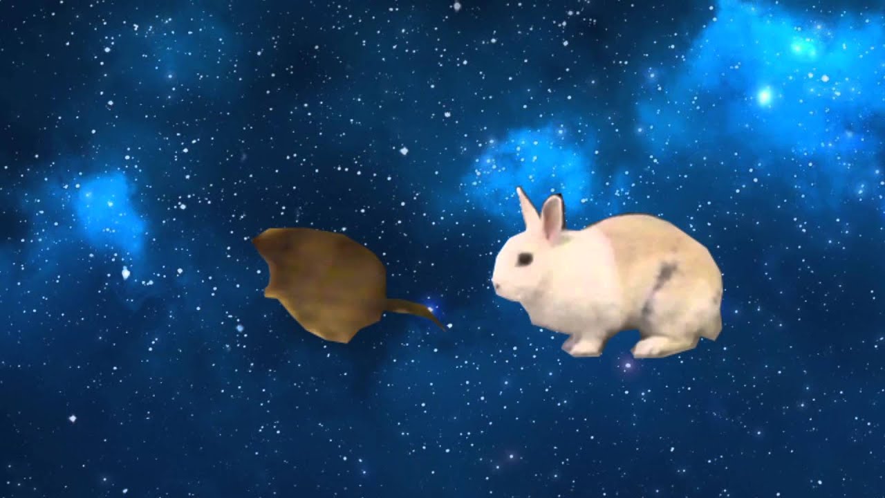 Rabbit eats mushroom for the first time YouTube
