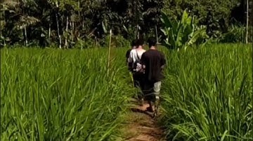 Hutan Lestari Masyarakat Sejahtera
