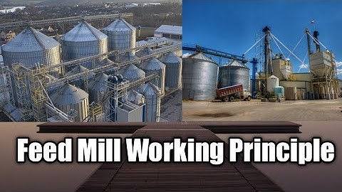 Feed Mill | Feed mill working Principle | World of Poultry