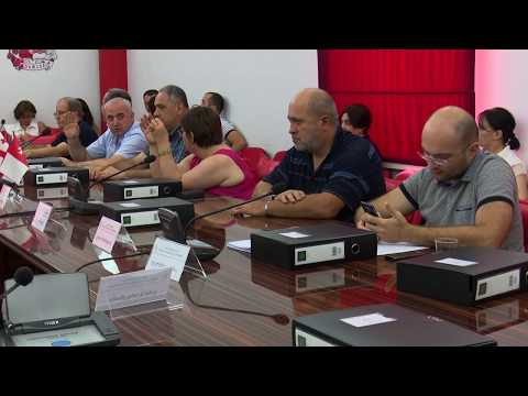 11.08.2017 რუსთავის საკრებულომ რიგგარეშე სხდომაზე 16 საკითხს უყარა კენჭი