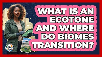 What Is An Ecotone And Where Do Biomes Transition? - The Geography Atlas