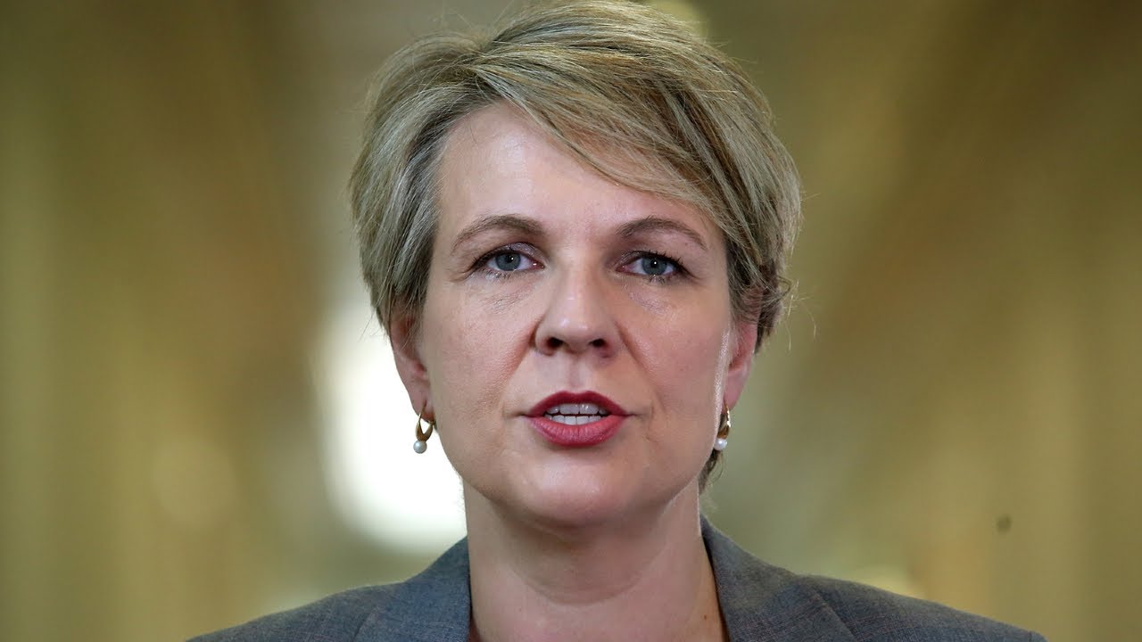 Plibersek’s gold mine advisor tried registering ‘every creek’ as an Indigenous site