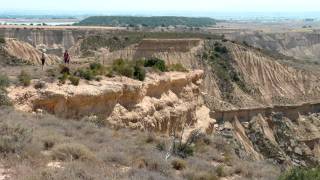 bardenas2011