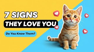 7 Signs Your Cat Truly Loves You (Cat Behavior Explained!) Profile
