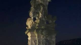 VID_1033570727_095955_738.mp4