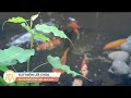 Suy Niệm Lời Chúa | Thứ Hai Tuần V Mùa Phục Sinh (04/05/2026)