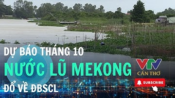 Cảnh báo triều cường và lũ gây ngập cục bộ tại An Giang, Đồng Tháp, Cần Thơ | VTV CẦN THƠ