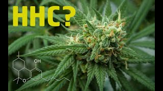 Какво е HHC - Hexahydrocannabinol?