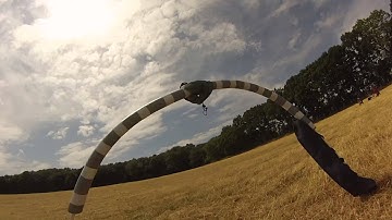 Airgate practice with an ImmersionRC Vortex