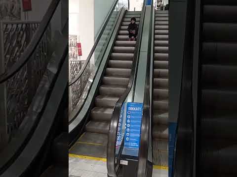 ايمان هدى حنين كيوت  ترند