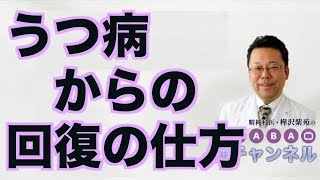 うつ病からの回復の仕方【精神科医・樺沢紫苑】