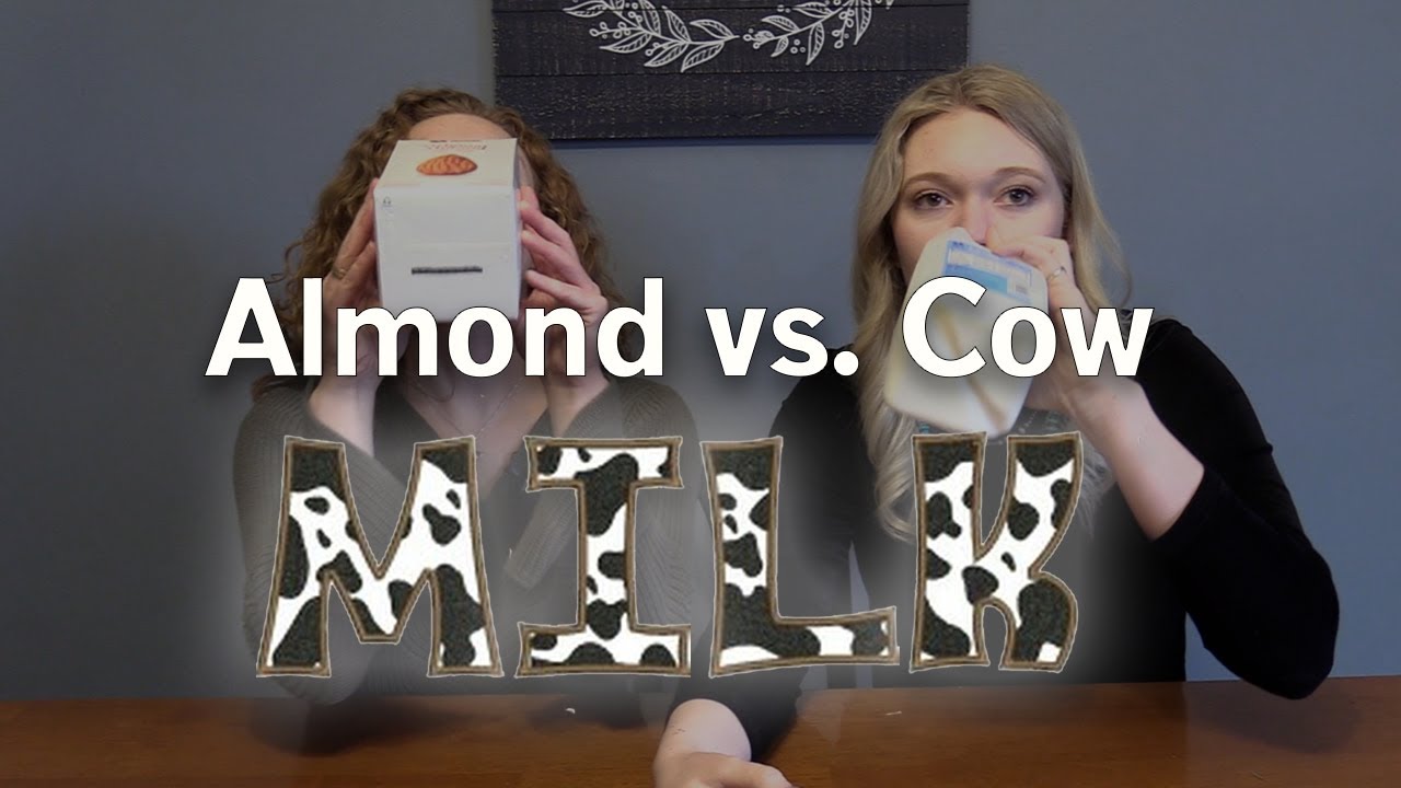 Cow milk vs. Almond milk Friday Five Jan. 15, 2021 YouTube