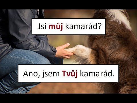 Video: Kakšen je posesiv množine alumnov?