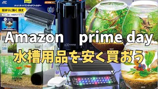Amazon prime dayはアクアリウム用品買い時です！ #aquarium - YouTube