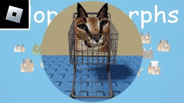 Roblox Find The Floppa Morphs: how to get "Shopping Cart Floppa" badge
