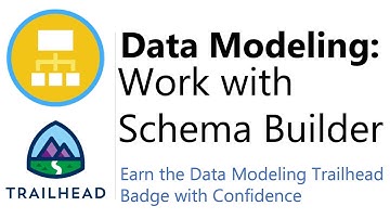 Work with Schema Builder | Trailhead | Answered and Explained