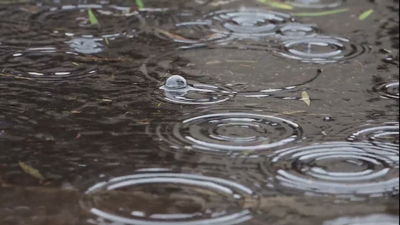 Sonidos de LLUVÍA - Relajante